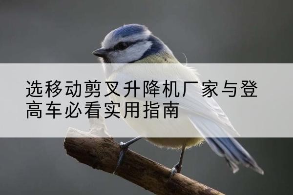 富平电动升降机厂家-选移动剪叉升降机厂家与登高车必看实用指南