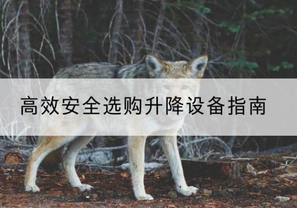 富平升降货梯厂家推荐-*安全选购升降设备指南
